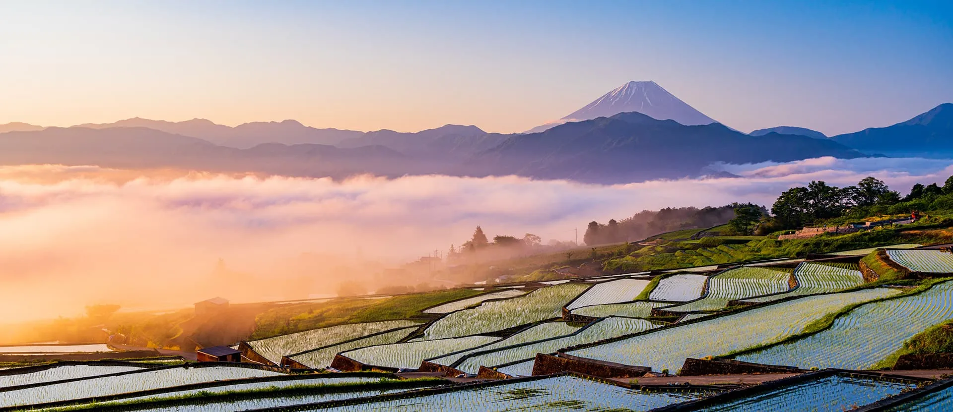 飛竜乗雲 富士山ボトル