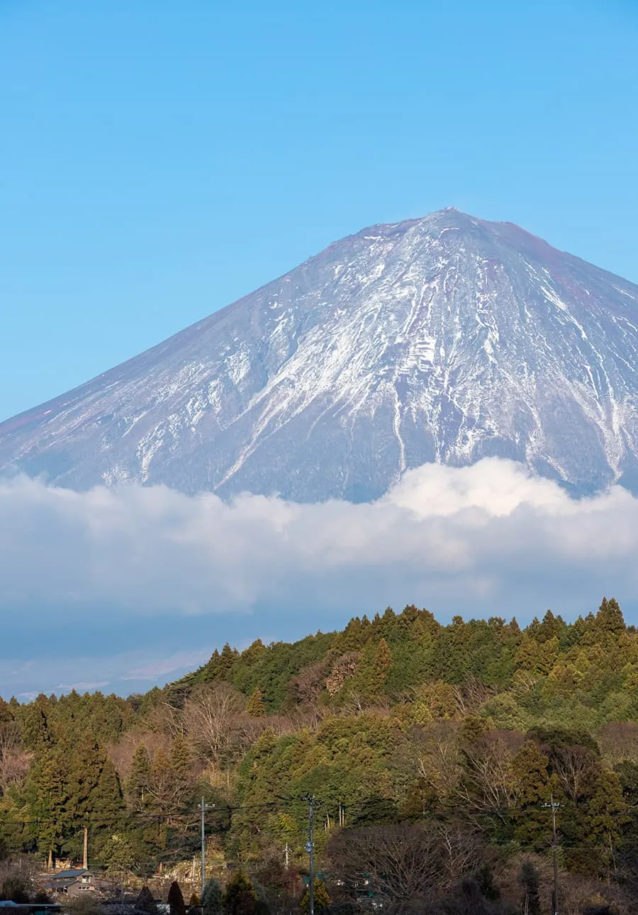 富士山